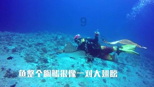 教师有资格开除学生吗？游戏画面